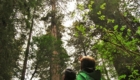 Couple looking up a tall trees